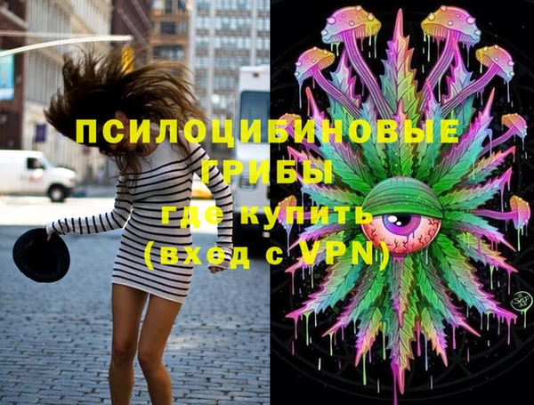 прущая мука Кинешма