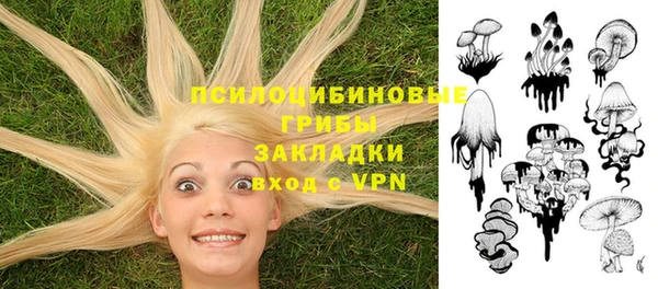 гидра Киренск