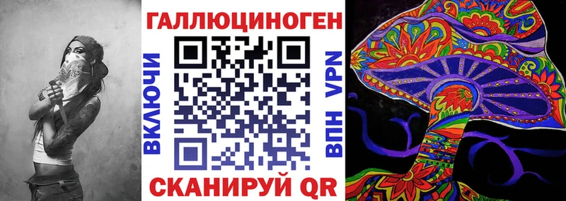что такое   Волжск  Псилоцибиновые грибы Cubensis 
