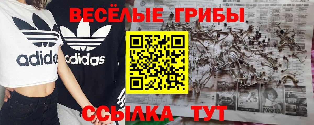 А ПВП Волжск